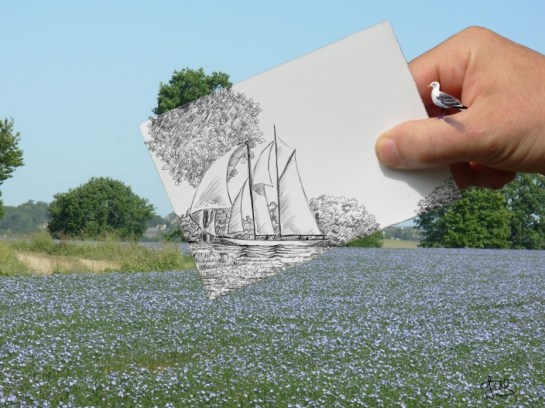 voilier dans le champ de lin