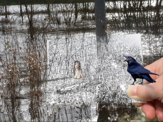 Inondation le long du Couesnon